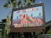 Condor Flats billboard