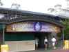 Magic Kingdom entrance 100 Years of Magic