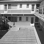1955