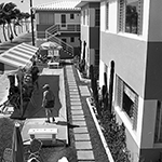 1955