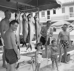 1955