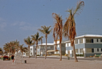 1956