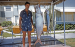 1958 - Tarpon