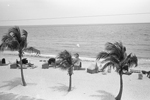 1959