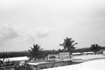 1959