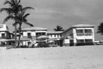 1960