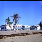 1962