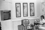 1964