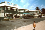 1964