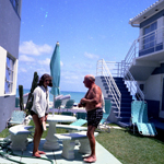 1966
