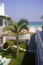 1980