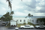1981