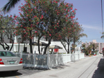 2004