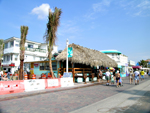 2009
