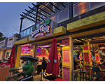 2024 - Senor Frogs