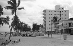 1977