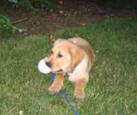 June 16, 2005