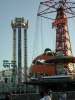 Paradise Pier