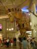 Caesar's Palace FAO Schwartz entrance