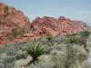 Red Rock landscape