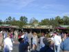 Animal Kingdom