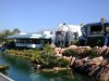 Tomorrowland Terrace
