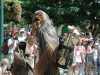 Chewbacca