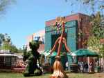 MGM garden