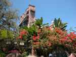 Flowers at Tower of Terror