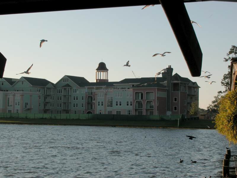 Saratoga Springs construction