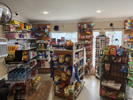 Hollywood Beach Hotels store