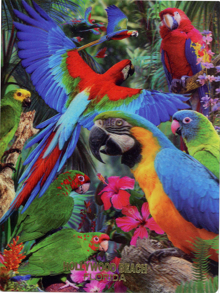 postcard