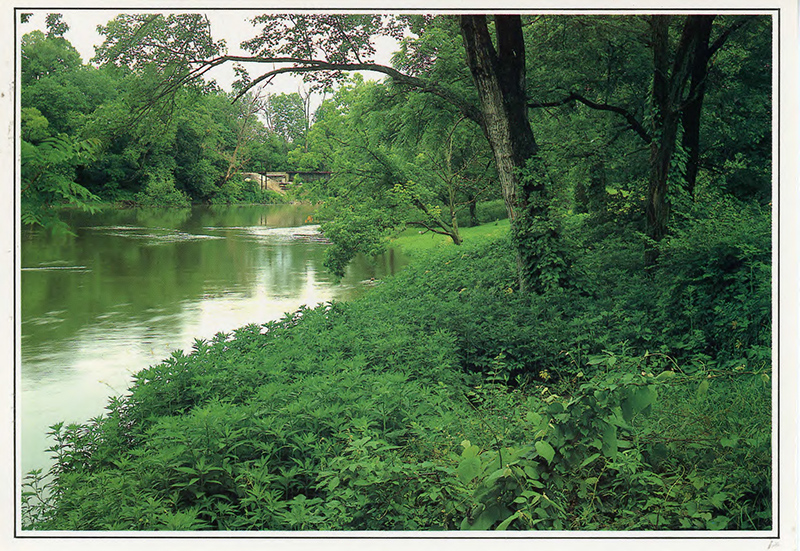 postcard